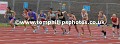 _TP27207wtmk