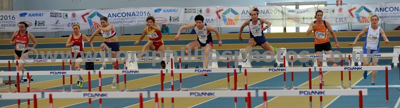 _MMP3377.jpg