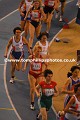 _TP28031wtmk