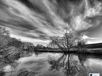 Cirrostratus  I love how the clouds and reflections in the River all seem to centre on the base of the willow tree and its reflection. Shot on a breezy day, hence the rippled water. In flat calm, this shot would have been quite awesome. I have tried and failed to get that several times since! The Medway was muddy this day, after rain. The colour of the sky did not reflect well, so the shot works best in black & white. Trust me! £220