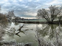 Frost  The same tree as in “A Willow in Winter”, on the same magical January morning. This was my personal favourite of all of the photographs and images in the exhibition.  The sheer hard work of getting the shot on a perishing cold morning makes it so. Oh, and the view helps, too, I guess.	£260