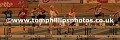_TP29216wtmk