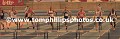 _TP29357wtmk