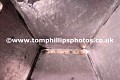 _TP13143wtmk