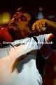 _TP21066wtmk