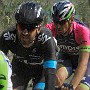 Wiggins (black) and Millar (blue) here.