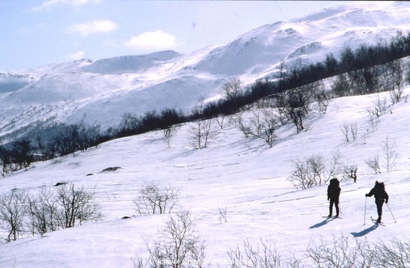 Hardangervidda10.jpg