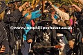 _TP25258wtmk