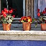 Exquisite colour sense, Burano