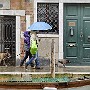 Walking the dog in the rain