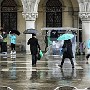 Dead umbrella, St Marks