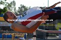 _TP29660wtmk