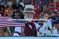 _TP29334wtmk